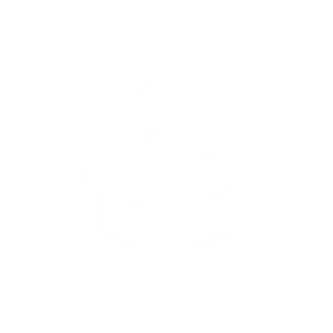 Exploring Box Aesthetics