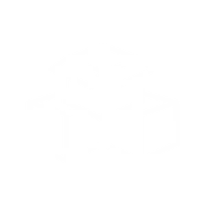 Expert Box Design Services