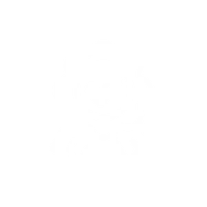 Quality Thrives in the Details